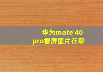 华为mate 40 pro截屏图片在哪